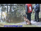 Israeldogs Mocca- knpv ph1 exam 21/10/2011 Dommelen Holland