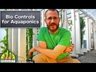 Bio Controls for Aquaponics