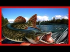 Рыбалка -7 Дней в Карелии,часть 1(7 Days fishing in Karelia, part 1)