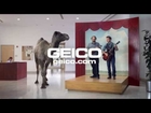 GEICO Hump Day Camel Commercial   Happier than a Camel on Wednesday