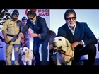 Amitabh Bachchan : Dogs Are Very Important In Our Lives | Pawsitive Peoples Award