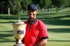 Tiger Woods' Year