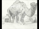 Pencil and Crayon Drawing by K Alridge- Tyler Perry,Hump Day Camel,Robin Roberts,Fantasia etc