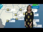 Houston's Weather Forecast for January 8, 2014