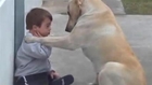 Amizade entre cão e garoto com Síndrome de Down