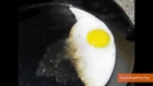 Death Valley Fried Egg Video Leads to Copycats Making a Mess
