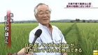 20130730 日照不足でコメの生育に影響　農家から不安の声も(福島)