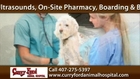 Orlando Veterinarian or Animal Hospital Call 407-275-5397