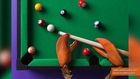 Surreal Food Photos Shows Animal Feet in Whimsical Activities